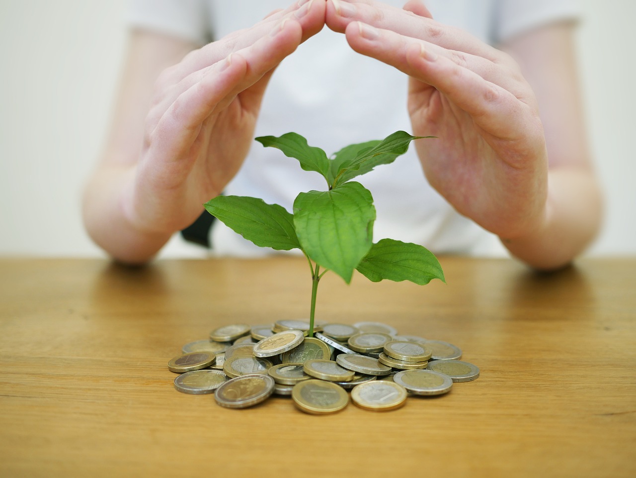 Geld und Umwelt schonen